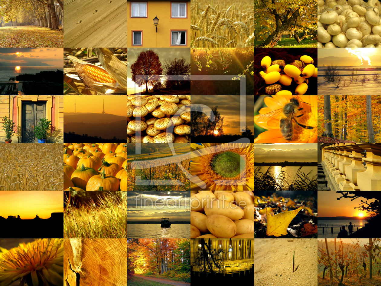 Bild-Nr.: 10699803 Goldene Momente - Collage erstellt von ursand