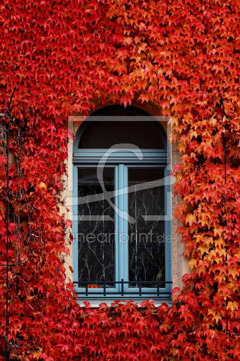Bild-Nr.: 10701831 Das Fenster zum Haus - Herbst erstellt von Heike Hultsch