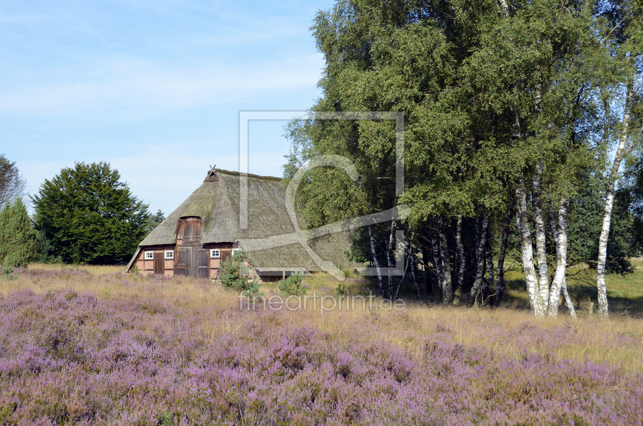 Bild-Nr.: 10702375 lüneburger heide erstellt von bessi