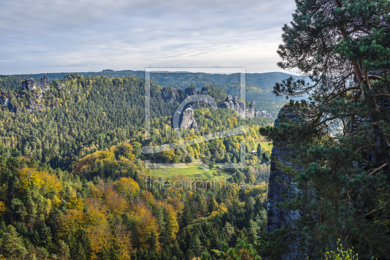 Bild-Nr.: 10704221 Wald in der Sächsischen Schweiz erstellt von Wolfgang Zwanzger