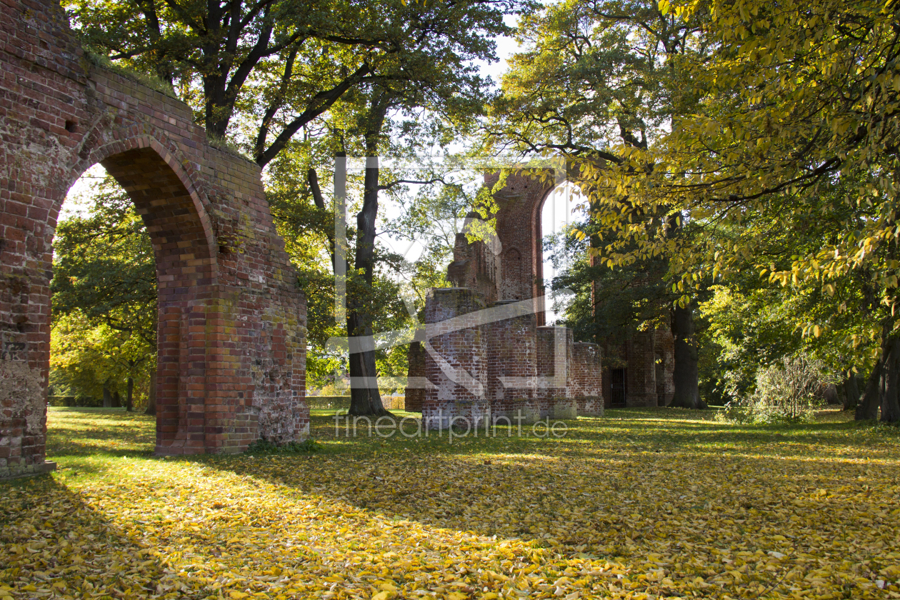 Bild-Nr.: 10707441 Herbst in der Klosterruine erstellt von uwekantz