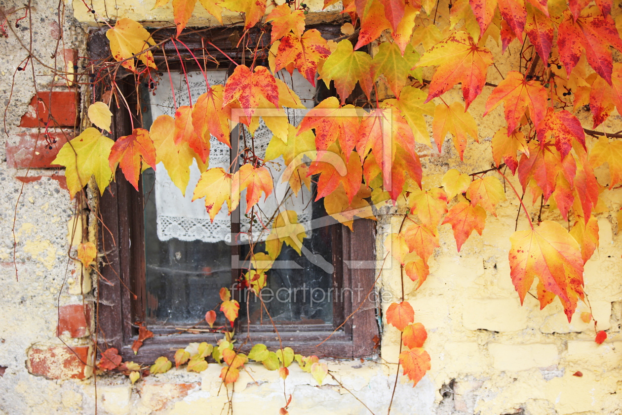 Bild-Nr.: 10711547 Herbstromantik erstellt von SusaZoom
