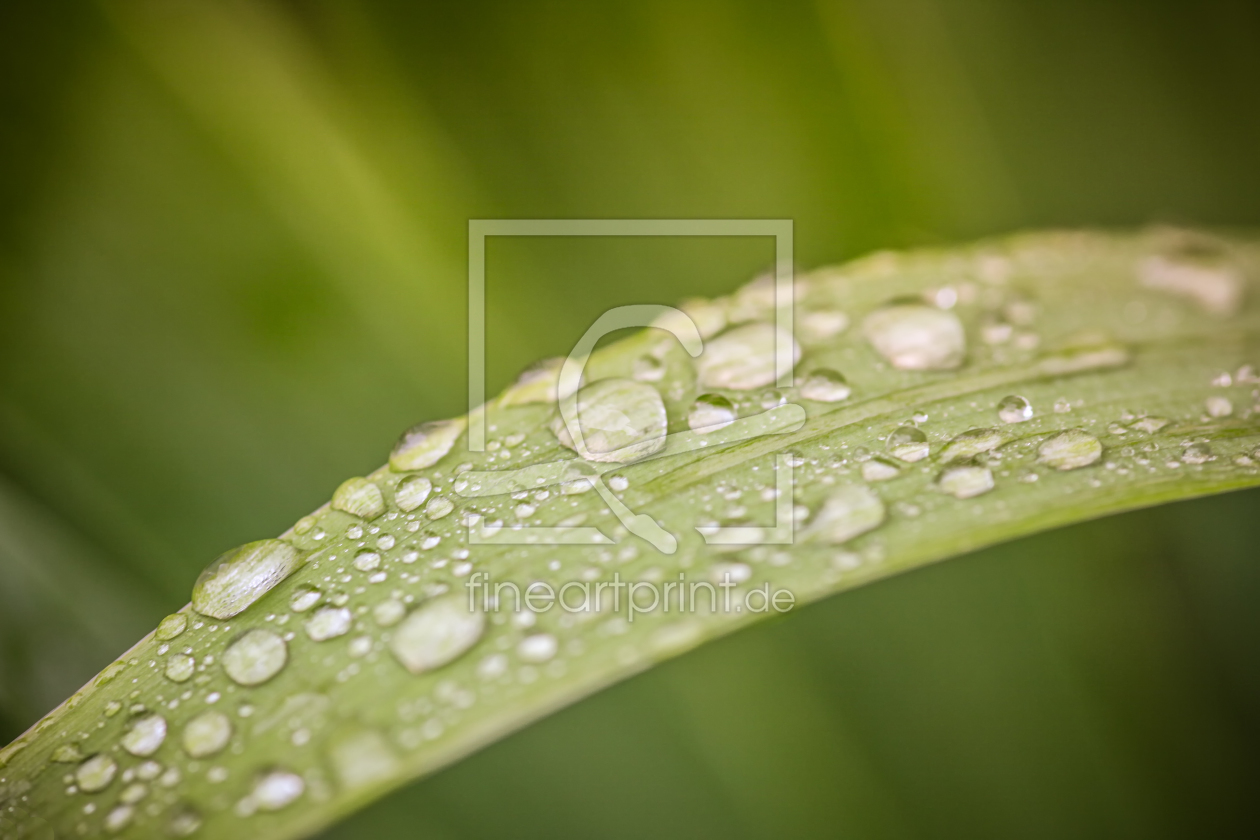 Bild-Nr.: 10713787 Drops erstellt von FotoDeHRO