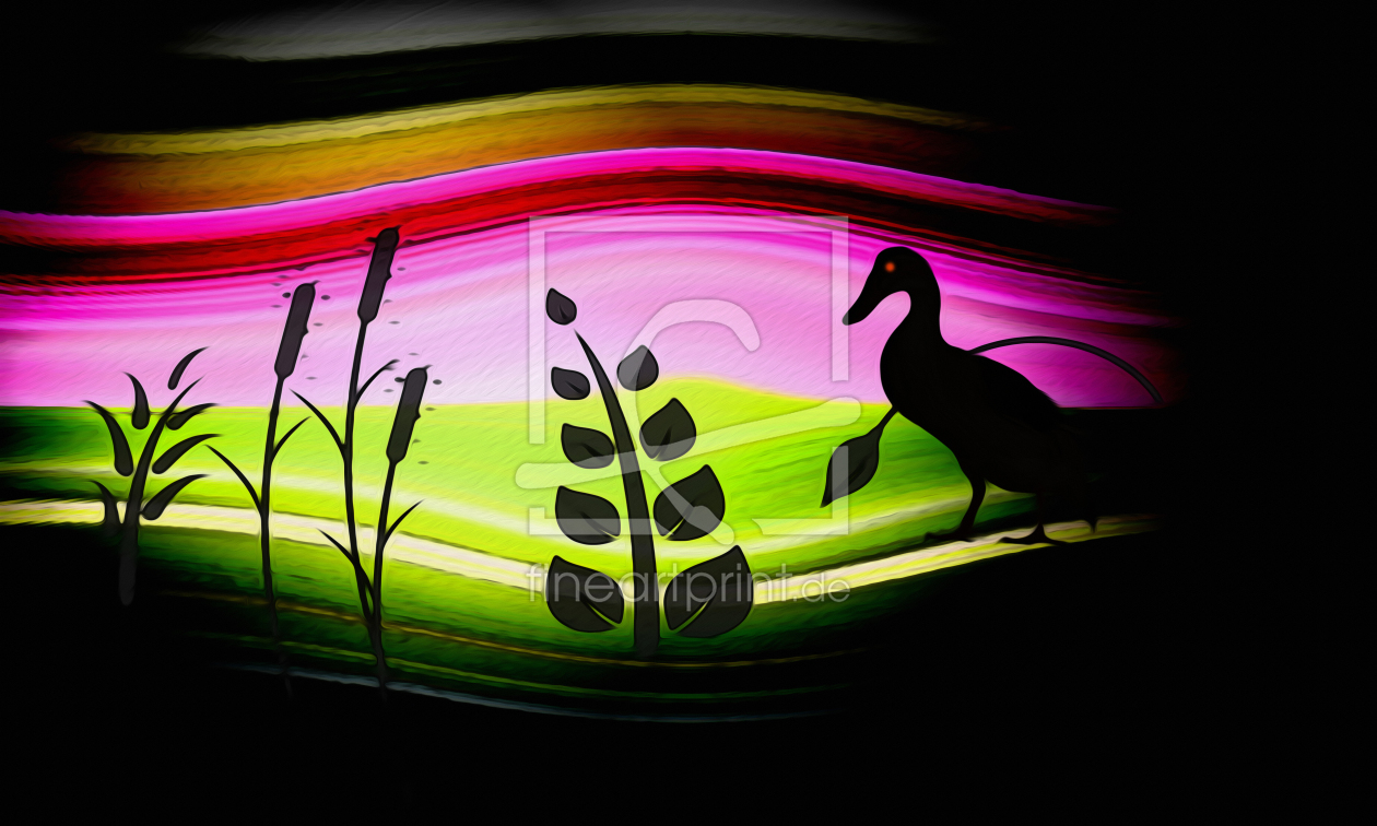 Bild-Nr.: 10721479 Ente auf der Wiese erstellt von DagmarMarina