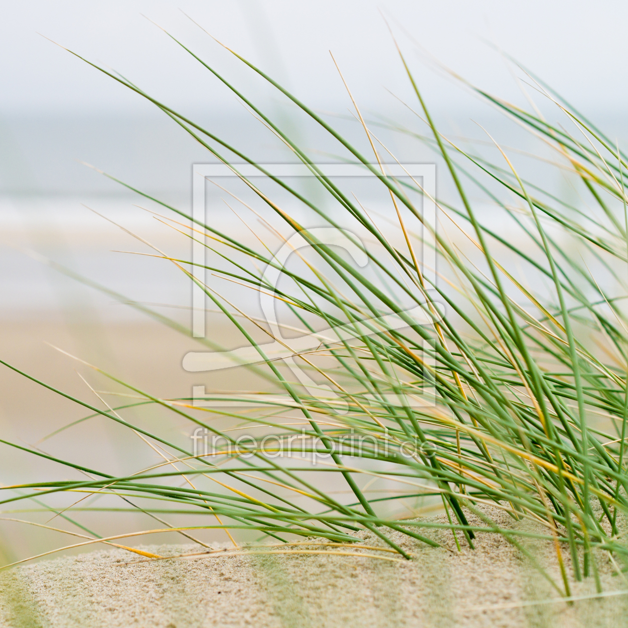 Bild-Nr.: 10722819 Herbst auf Texel #05 erstellt von MBuecker