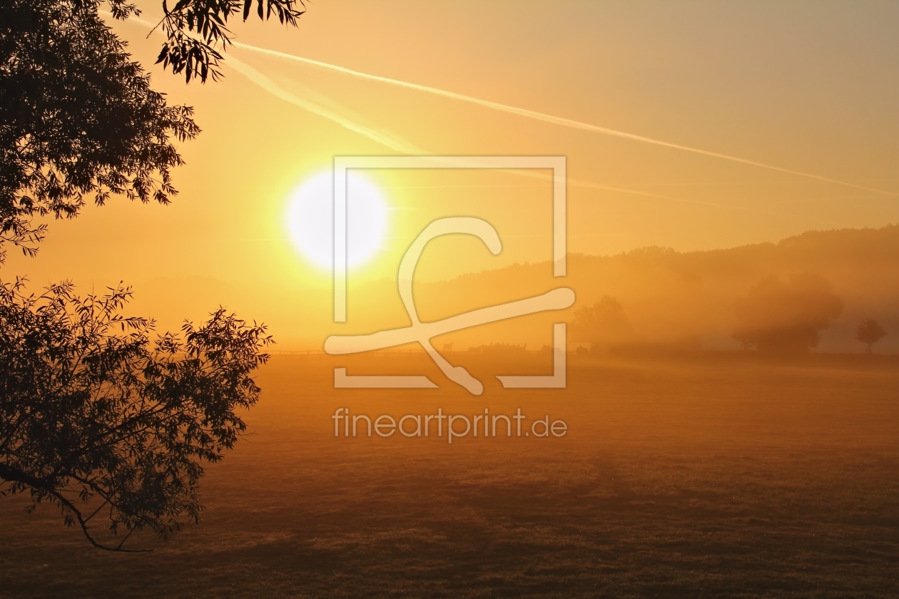 Bild-Nr.: 10724165 Sonne und Nebel erstellt von falconer59