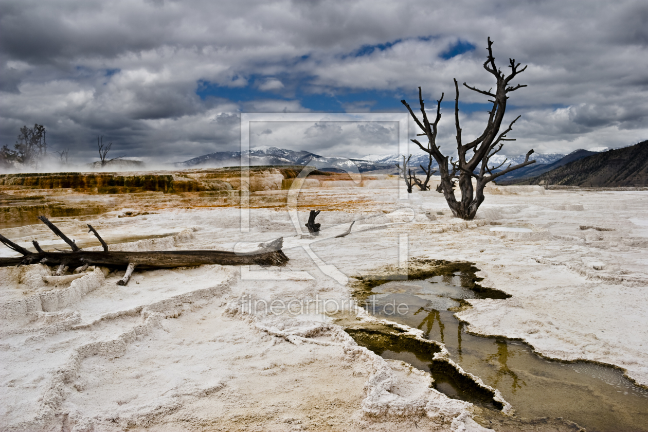 Bild-Nr.: 10725669 Mammoth Springs erstellt von alive-2-0