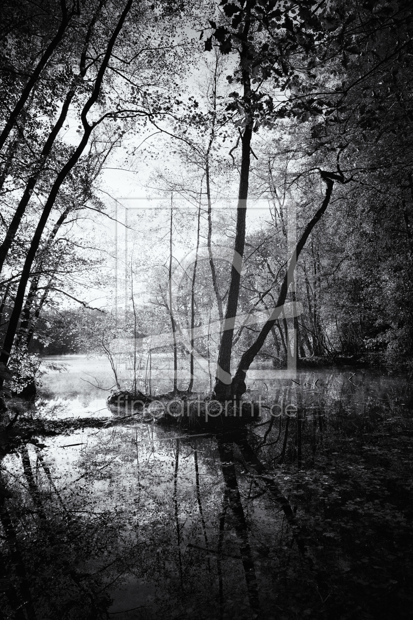 Bild-Nr.: 10726939 Baum im Wasser erstellt von Blackbiker