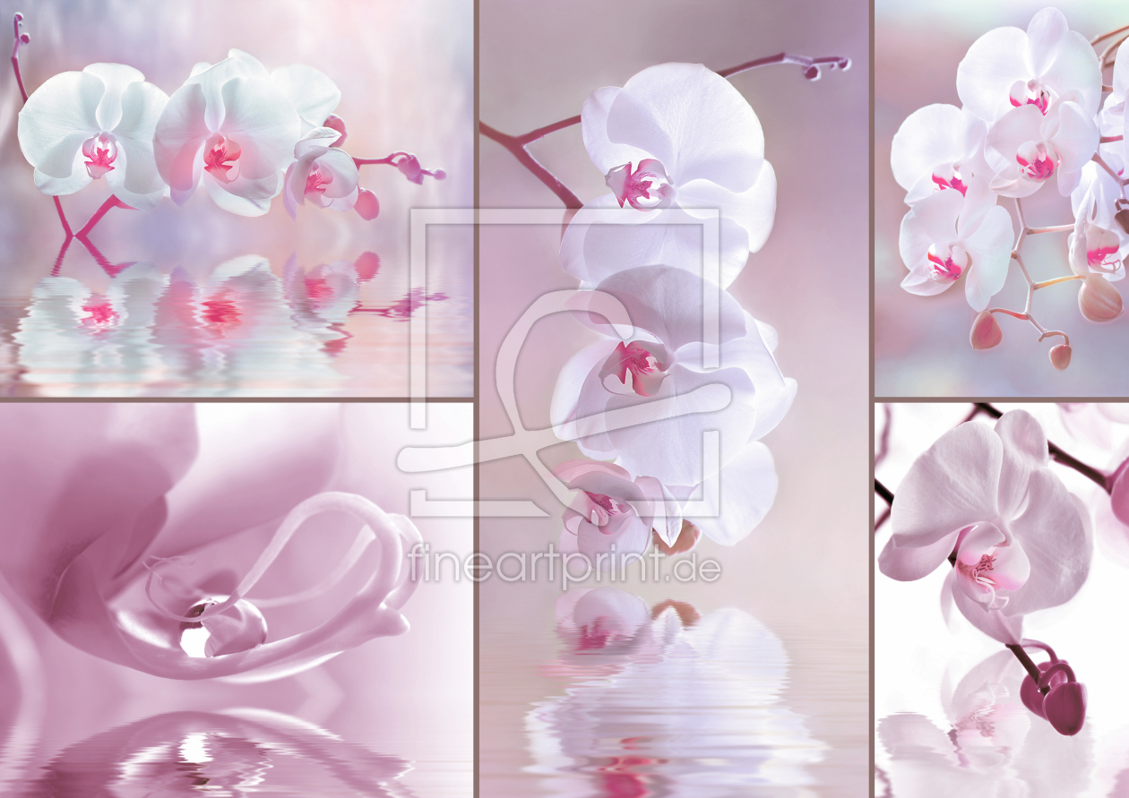Bild-Nr.: 10727167 Orchideenblüten erstellt von Atteloi
