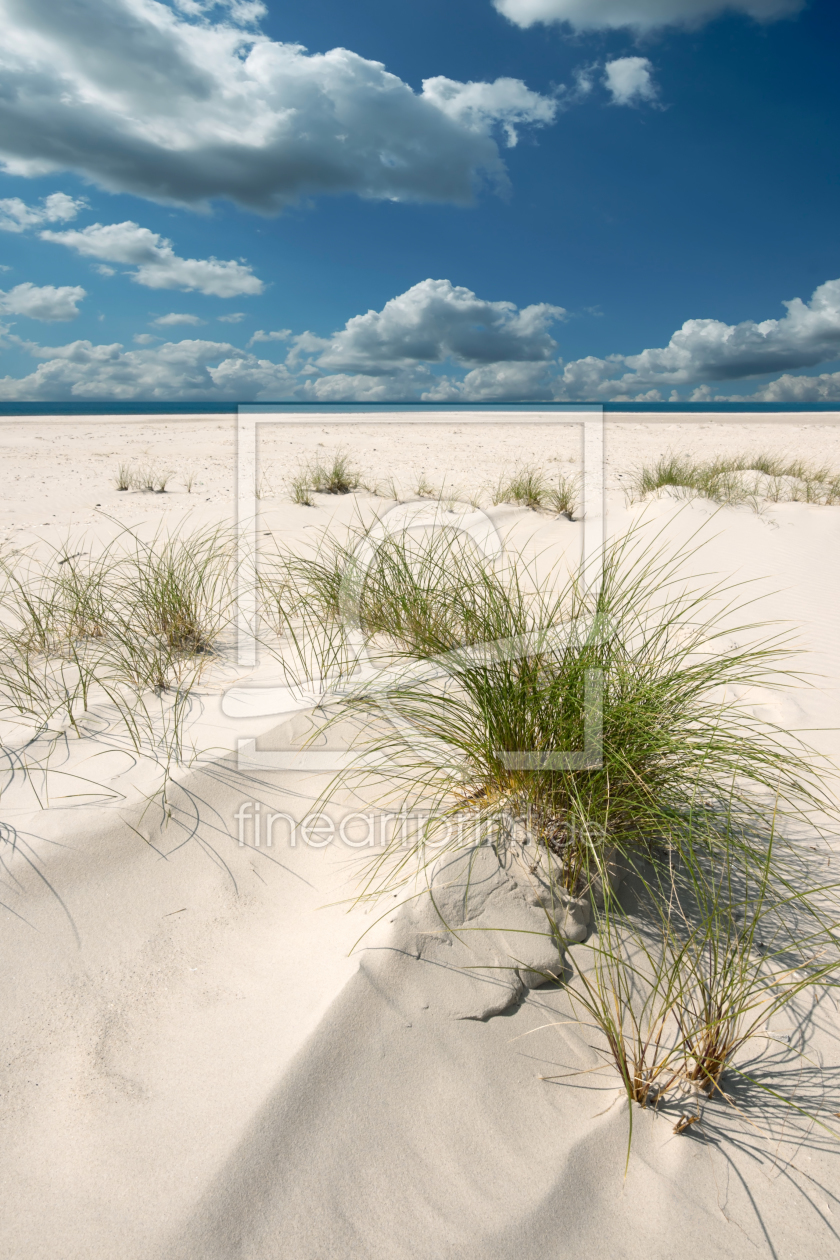 Bild-Nr.: 10727699 Nordsee - Insel Amrum erstellt von Reiner Würz