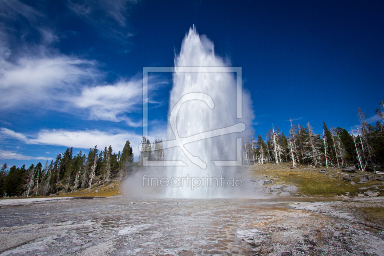 Bild-Nr.: 10728087 Grand Geyser - Yellowstone erstellt von Massi