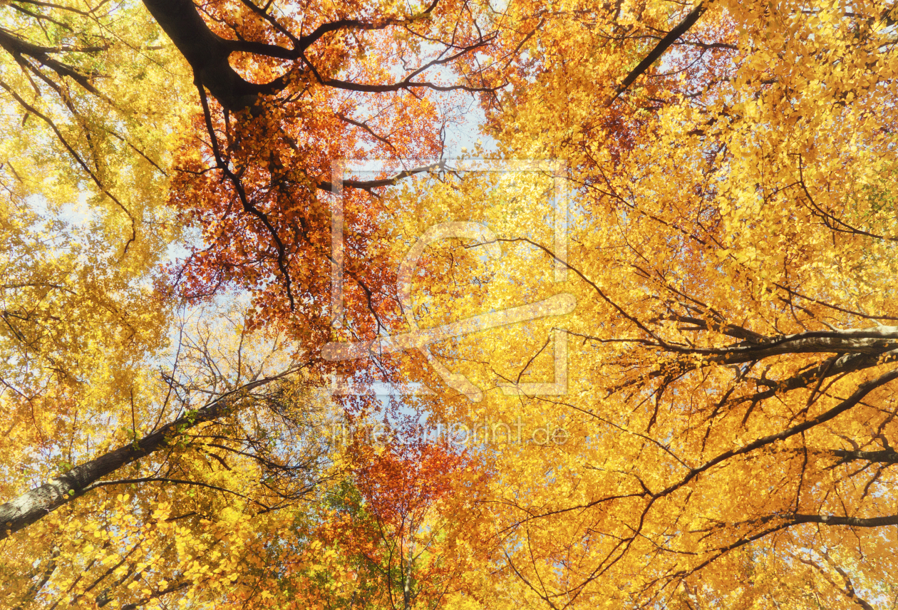 Bild-Nr.: 10728091 Oktoberhimmel erstellt von Daniela Beyer