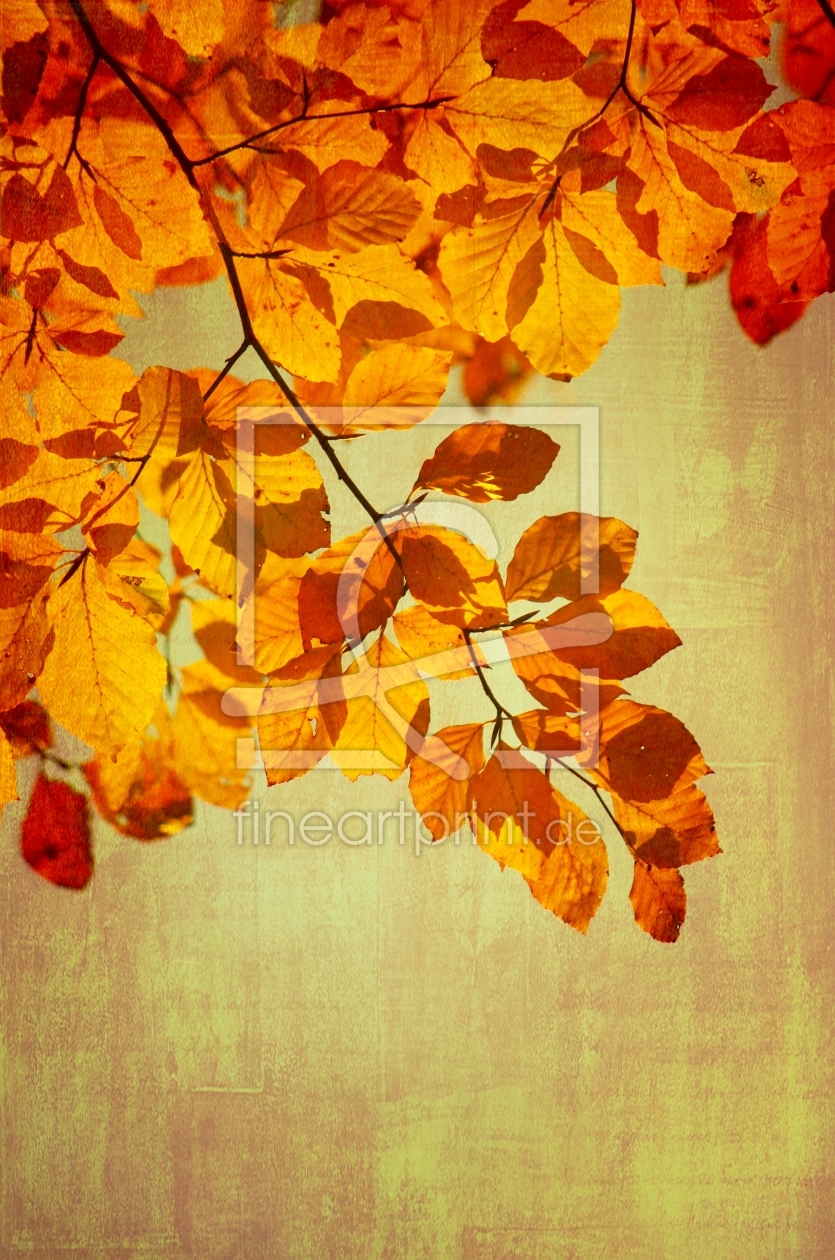 Bild-Nr.: 10728857 Herbstfarben  erstellt von gabii40