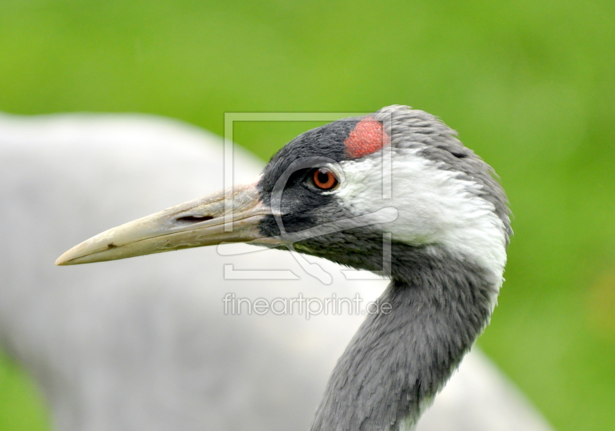 Bild-Nr.: 10730381 Glücksvogel erstellt von GUGIGEI