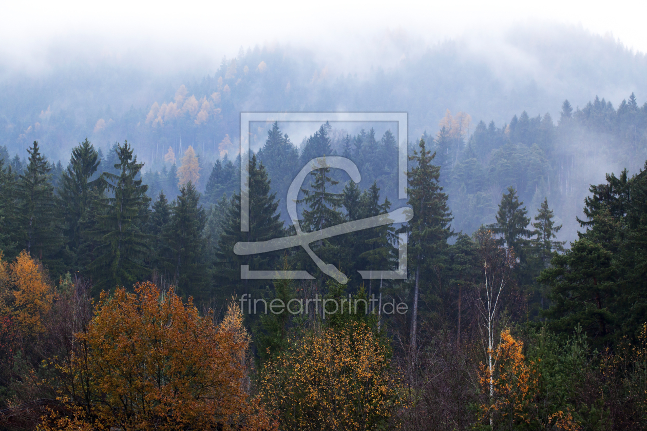 Bild-Nr.: 10730857 Tirol - Herbstwald erstellt von wompus