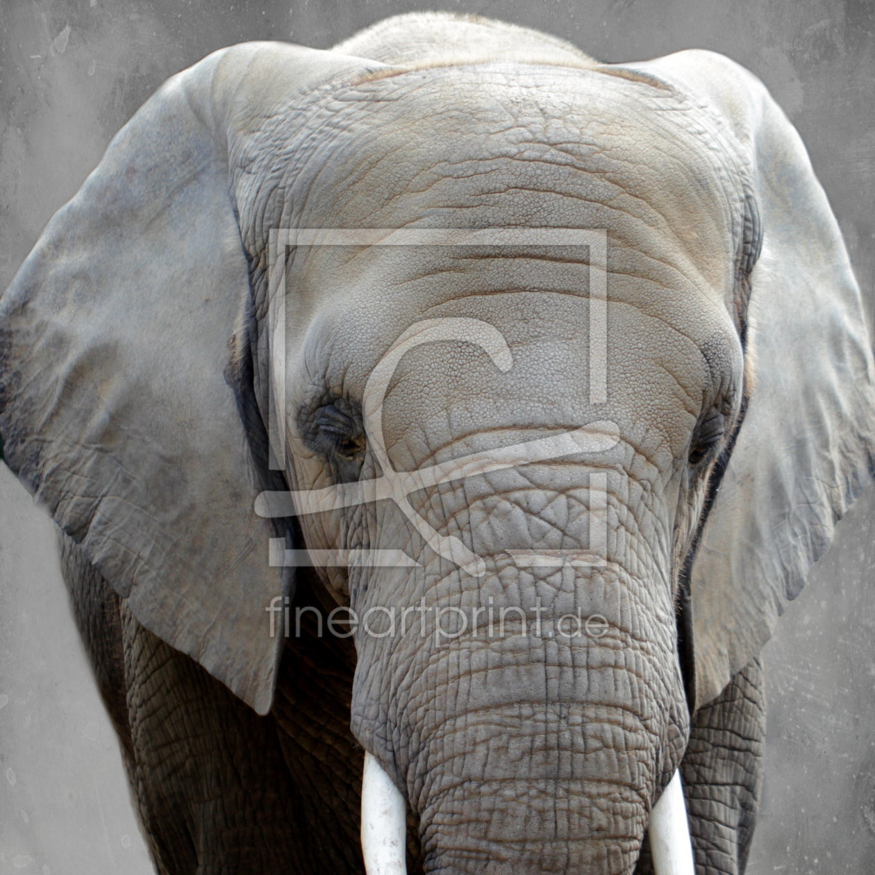 Bild-Nr.: 10731385 Elefant erstellt von Heike  Hultsch