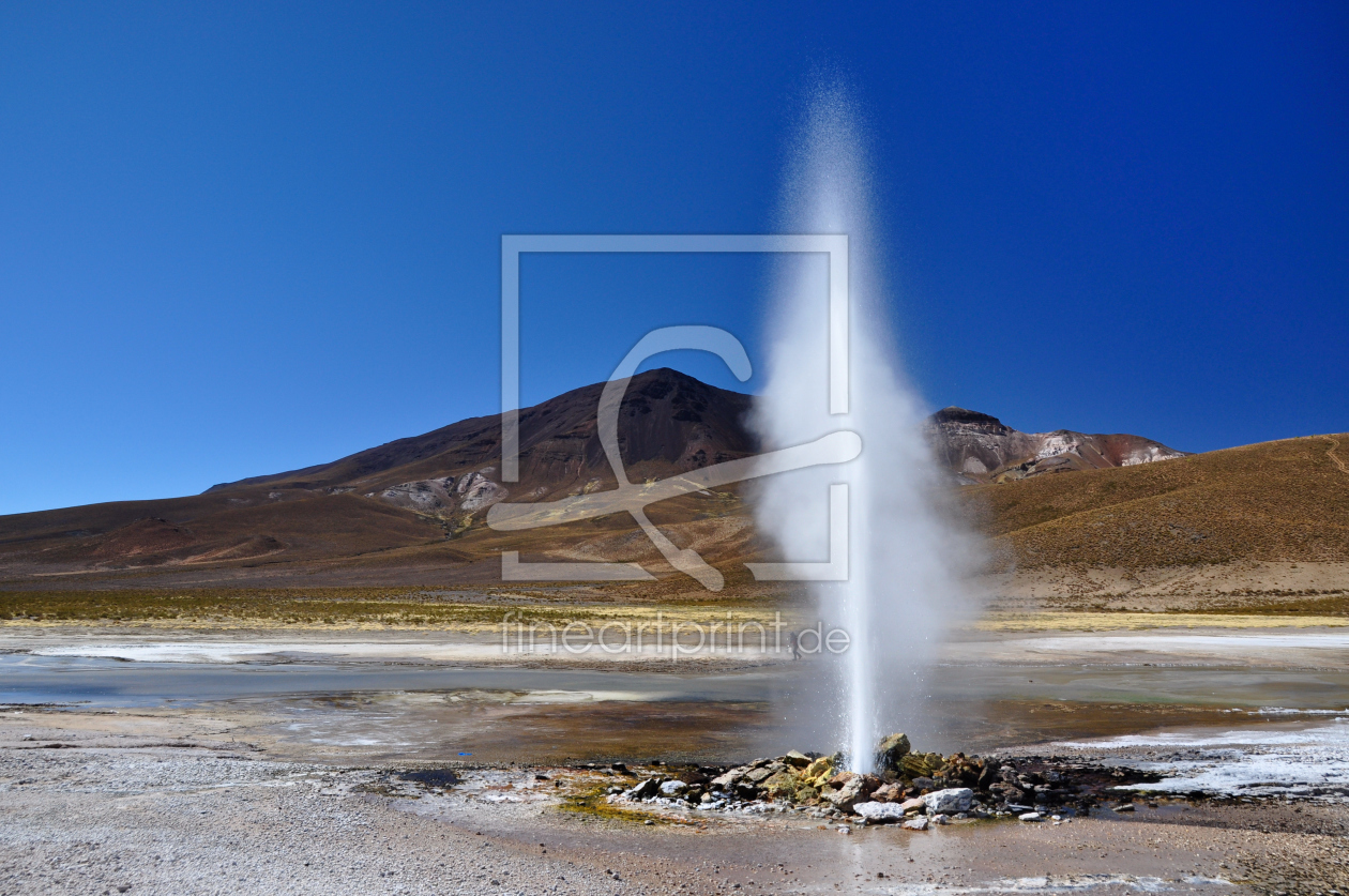 Bild-Nr.: 10733629 Geysir Puchuldiza erstellt von Gerhard726