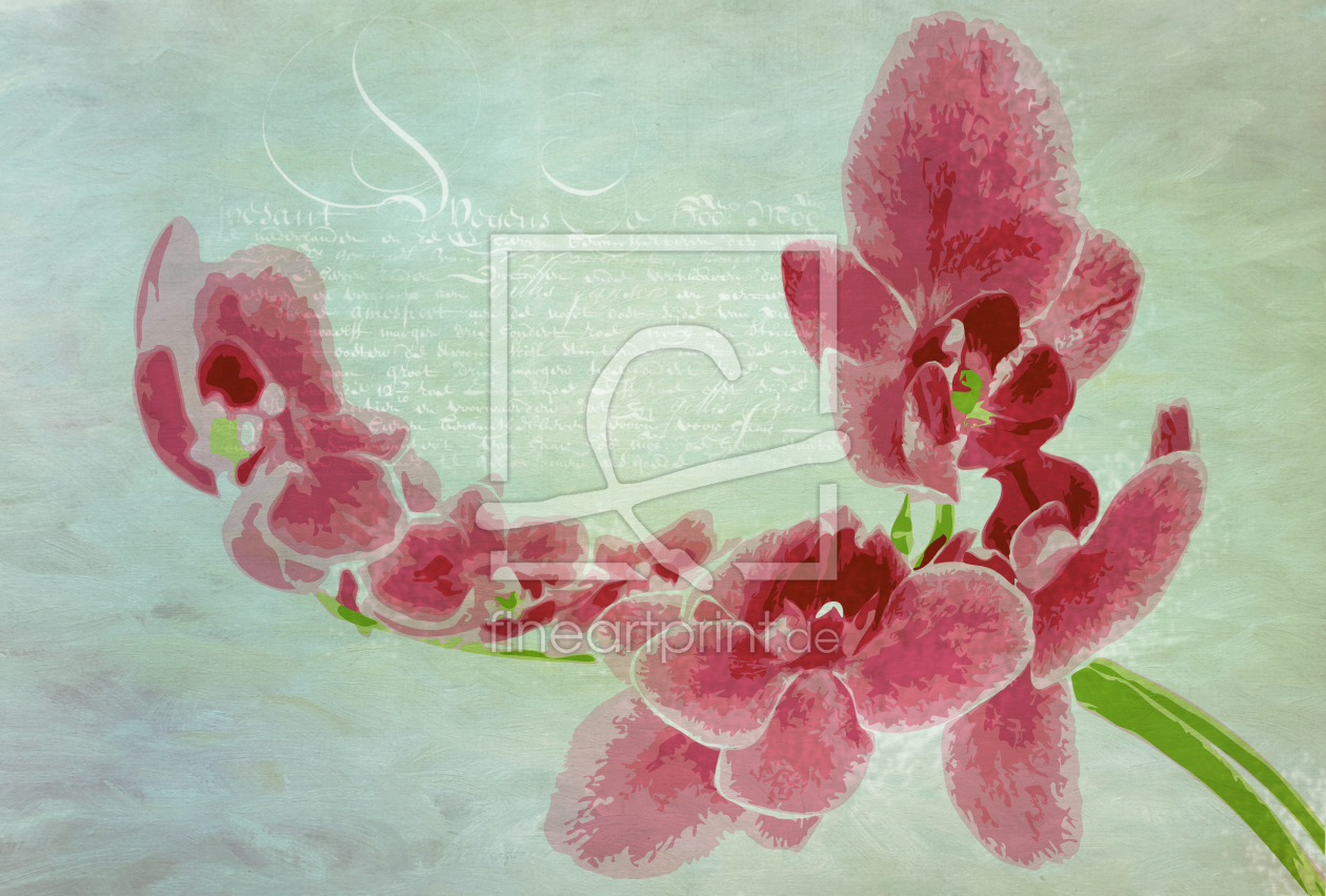 Bild-Nr.: 10735367 orchidea 2 erstellt von Rolf-Hellmeier
