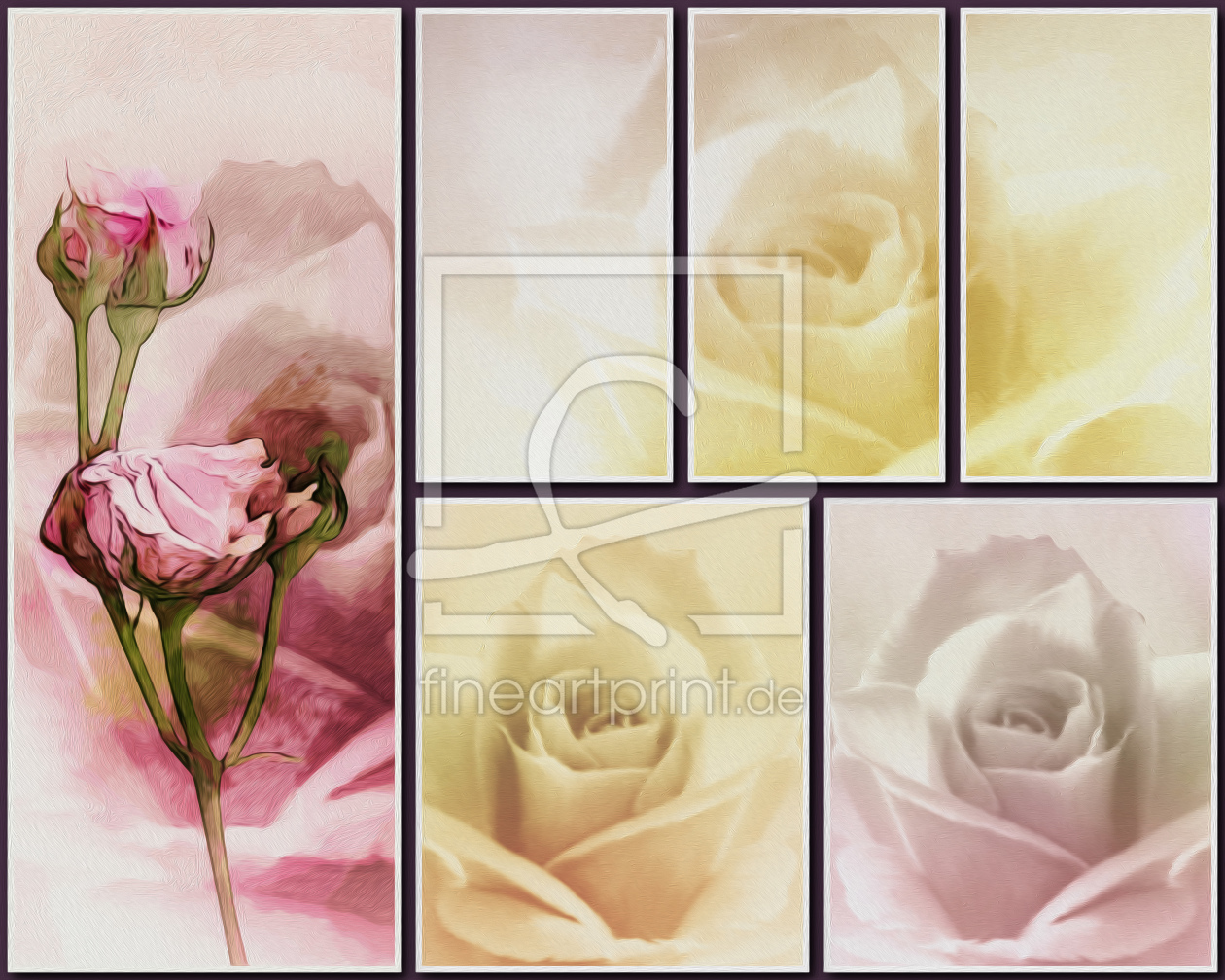 Bild-Nr.: 10735425 Rosen - Collage erstellt von DagmarMarina