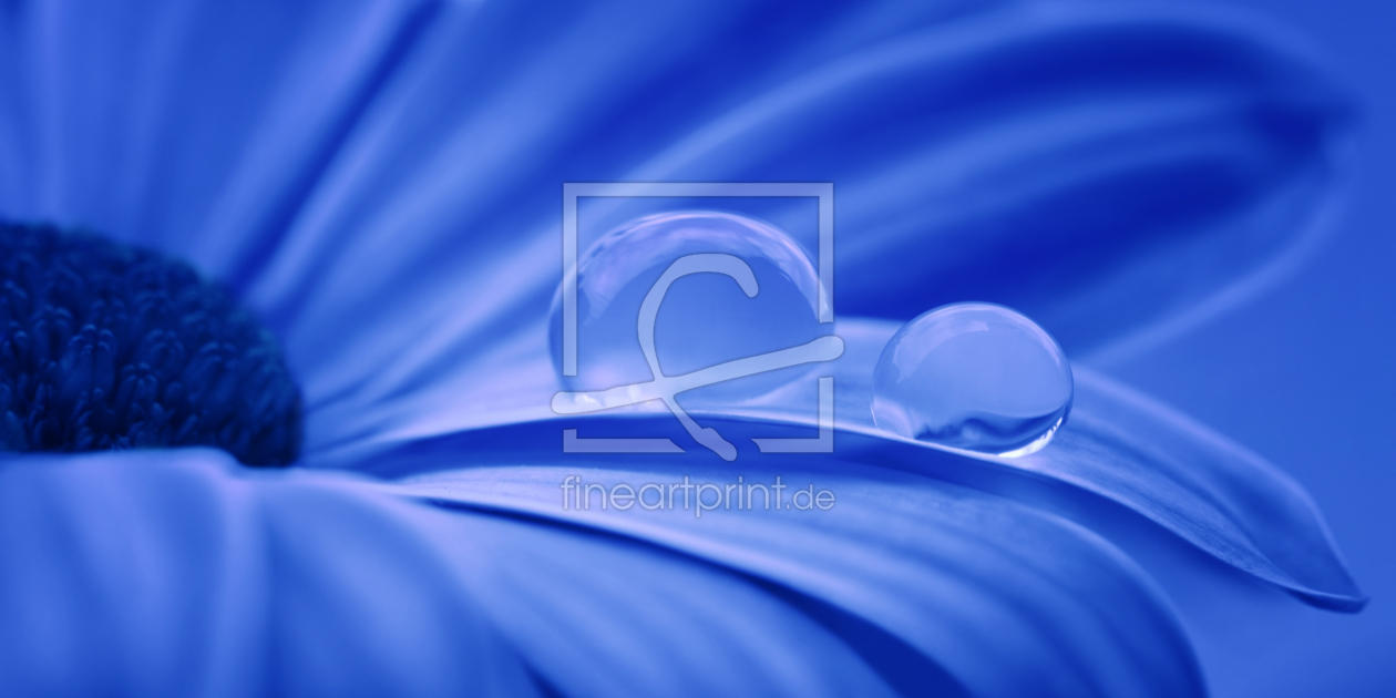 Bild-Nr.: 10735589 Blau erstellt von Atteloi