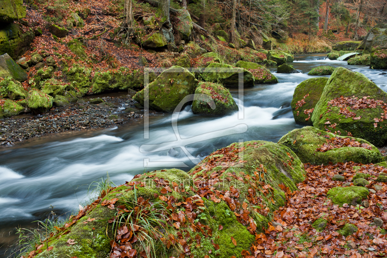 Bild-Nr.: 10735619 Herbstmärchen am Bach erstellt von Byrado