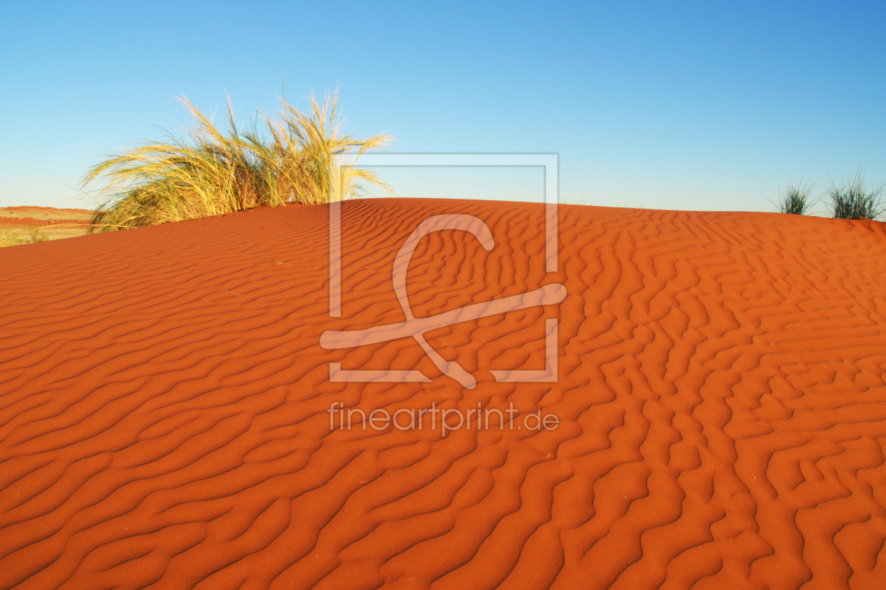 Bild-Nr.: 10736331 Sanddüne am Morgen erstellt von Gerhard726