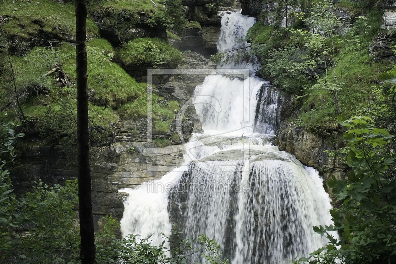 Bild-Nr.: 10736411 Kuhflucht_1 erstellt von werdenfelspics