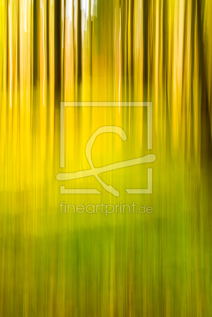 Bild-Nr.: 10738063 Herbstwald - gelbe Weite erstellt von Thomas Joekel