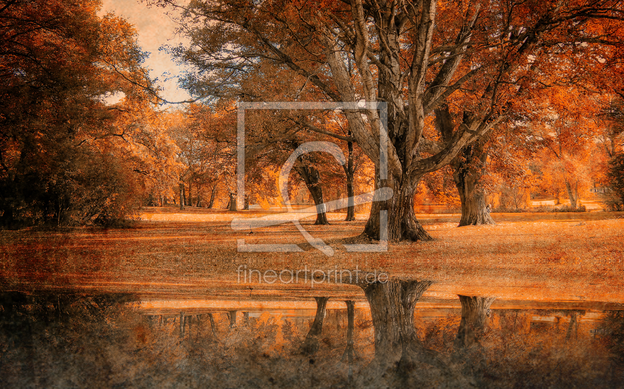 Bild-Nr.: 10738175 Im goldenen Park erstellt von Birgit Presser