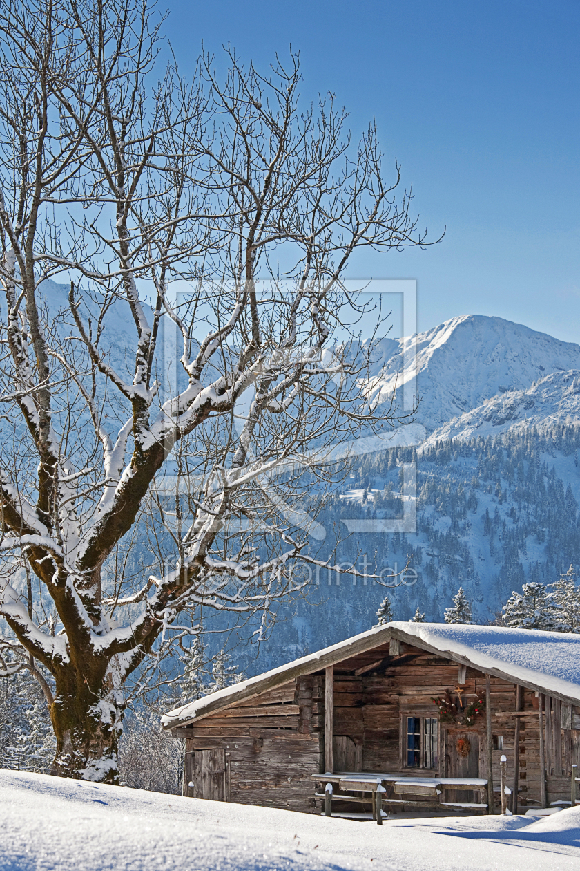 Bild-Nr.: 10739797 Hölleialm im Winter erstellt von EderHans