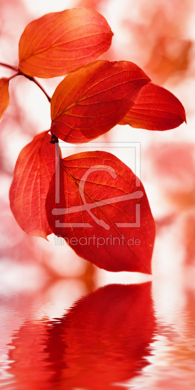 Bild-Nr.: 10741785 Rote Blätter erstellt von Atteloi