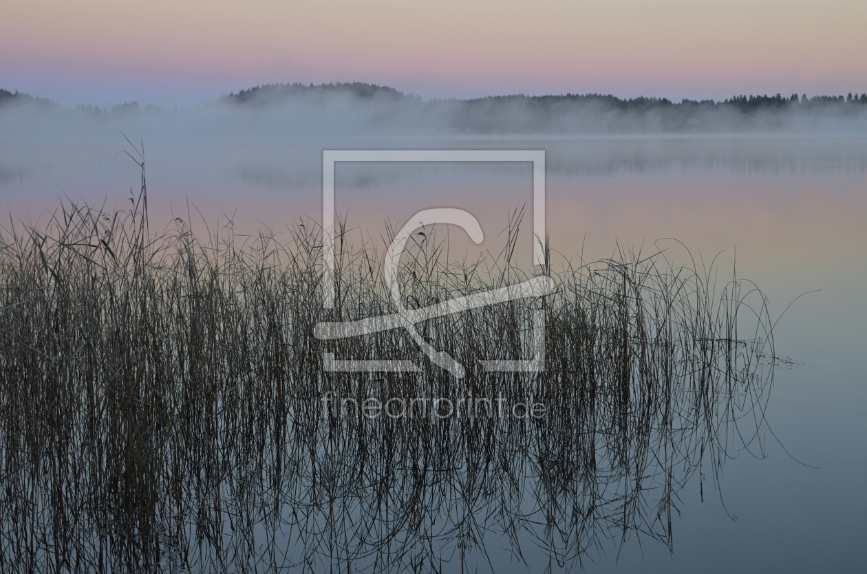 Bild-Nr.: 10742885 Morgenstimmung am See erstellt von Gerhard726