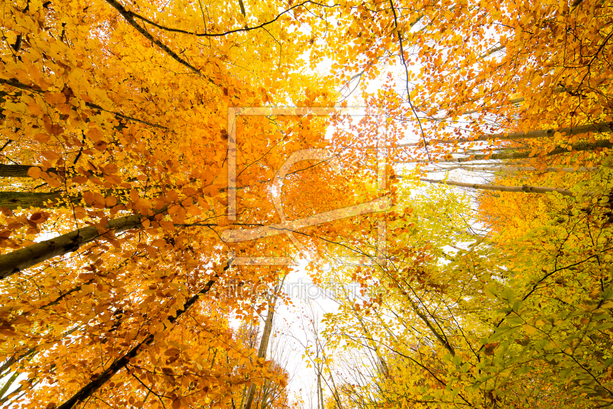 Bild-Nr.: 10743697 Herbst Himmel 2 erstellt von Thomas Joekel