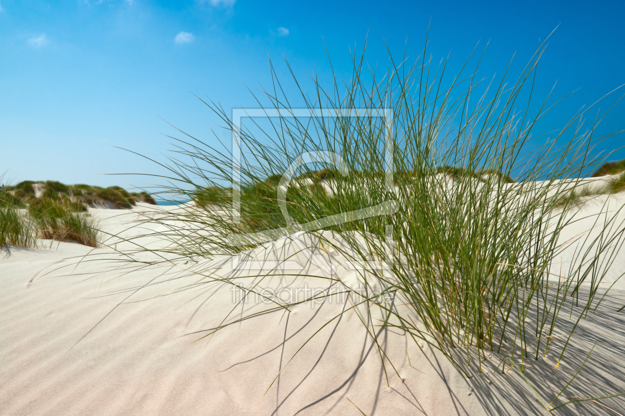 Bild-Nr.: 10745079 Nordsee - Amrum  erstellt von Reiner Würz