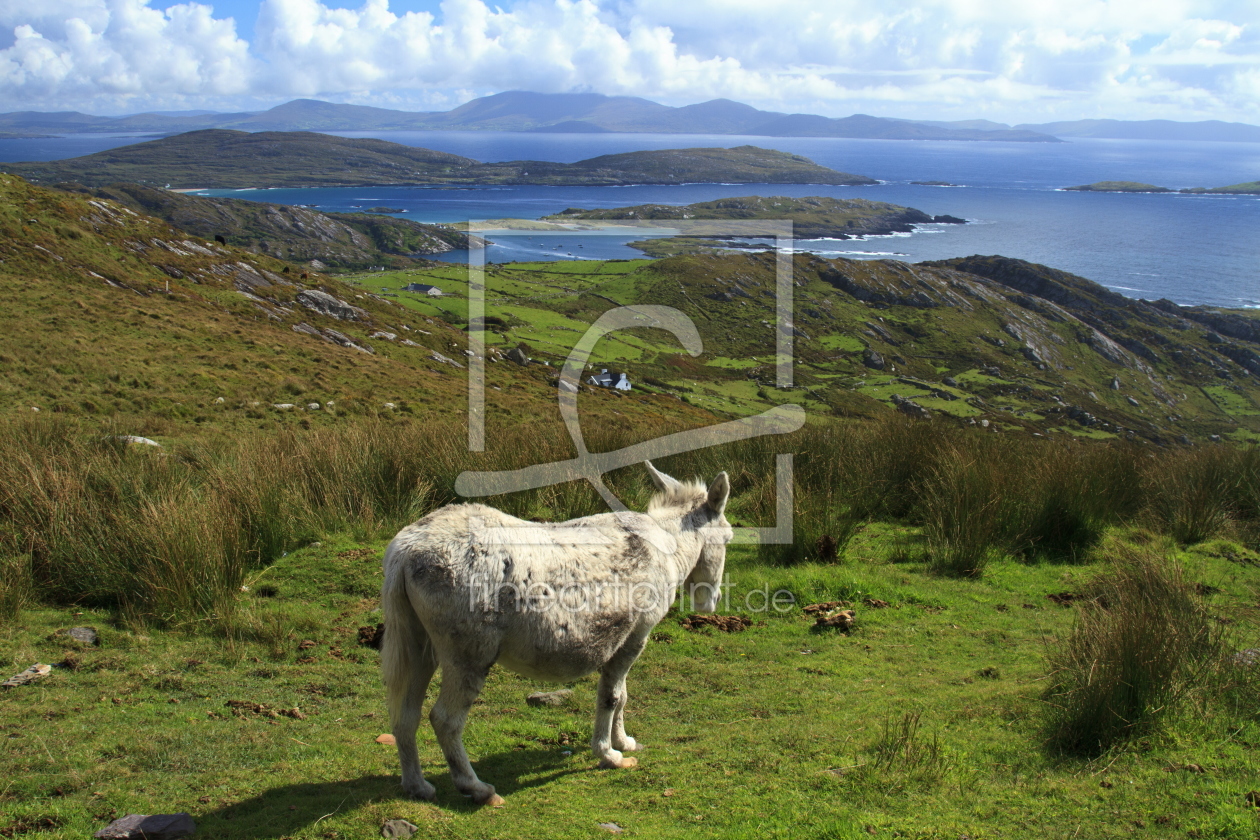 Bild-Nr.: 10748157 Kenmare Bay erstellt von Zauselmann