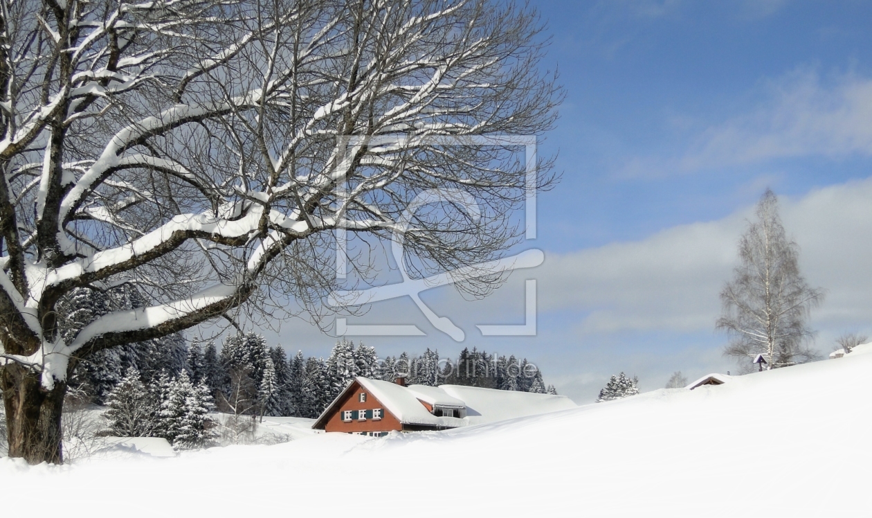 Bild-Nr.: 10749801 Schneeparadies erstellt von Renate Knapp