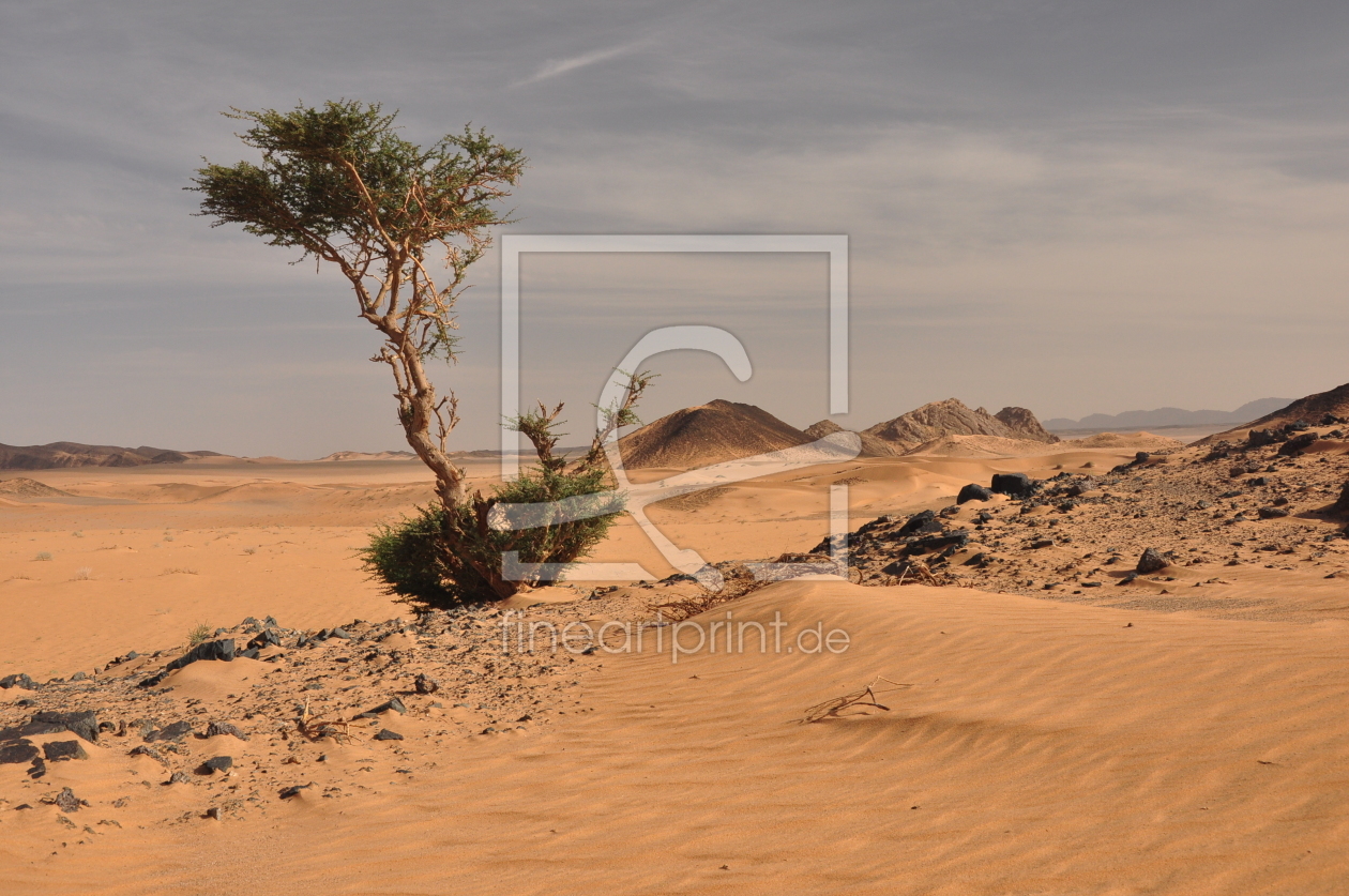 Bild-Nr.: 10750921 Desert Saudi Arabia erstellt von Secheln