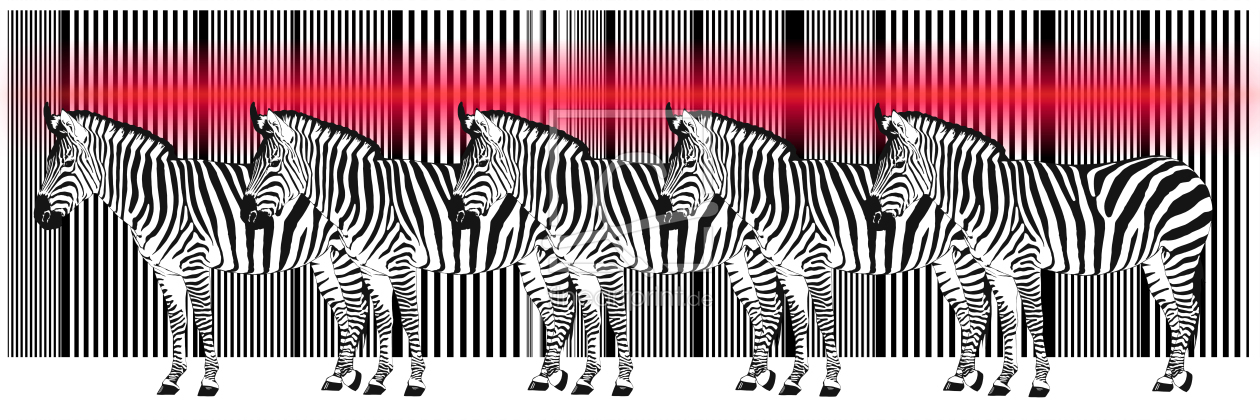 Bild-Nr.: 10755049 Barcode Zebras  erstellt von Mausopardia