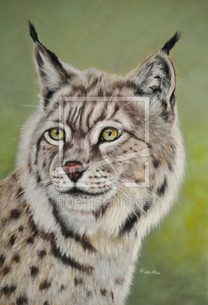 Bild-Nr.: 10758473 Luchs, Lynx erstellt von Frenken-Art