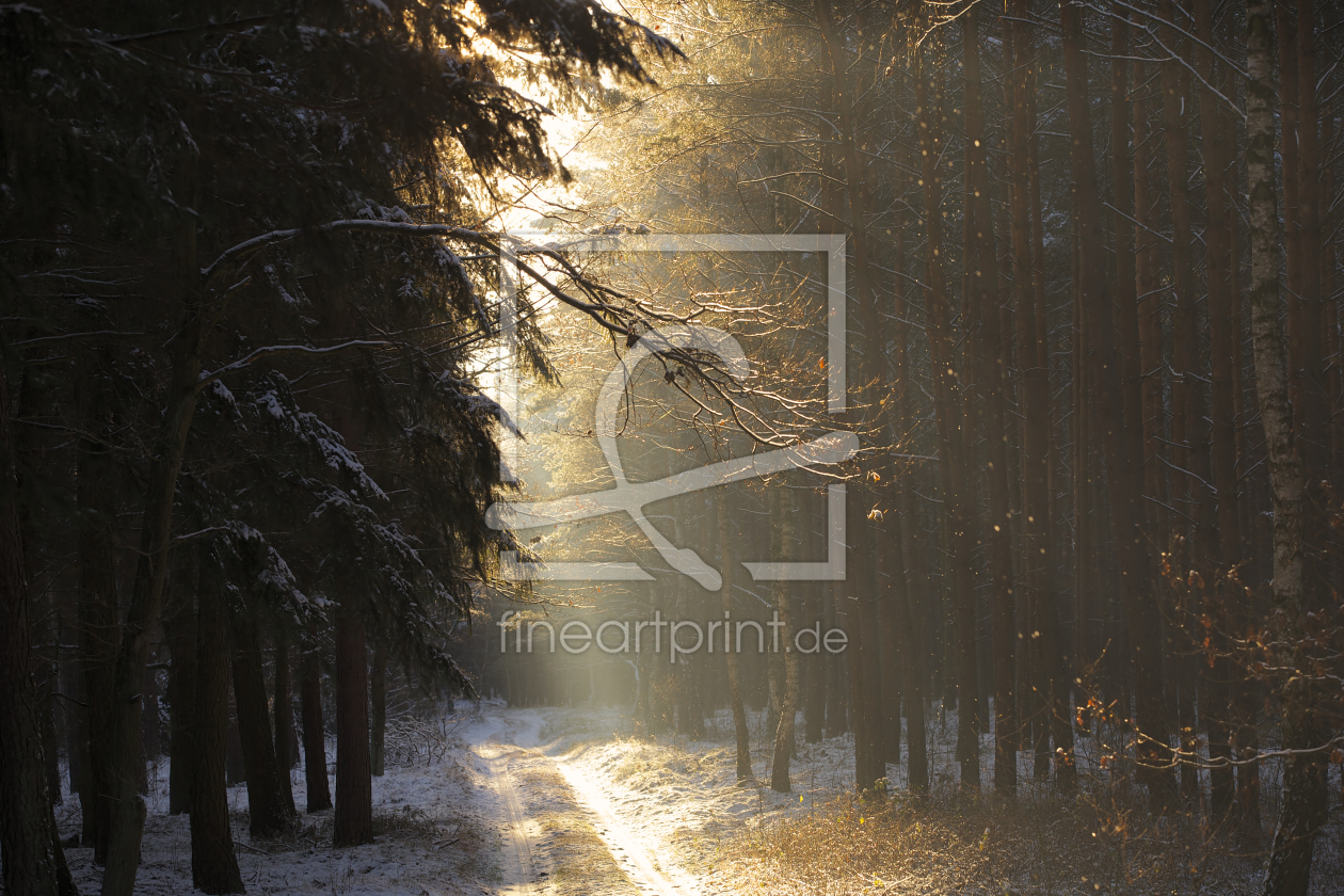 Bild-Nr.: 10762319 Winterwege erstellt von Jens Kalanke