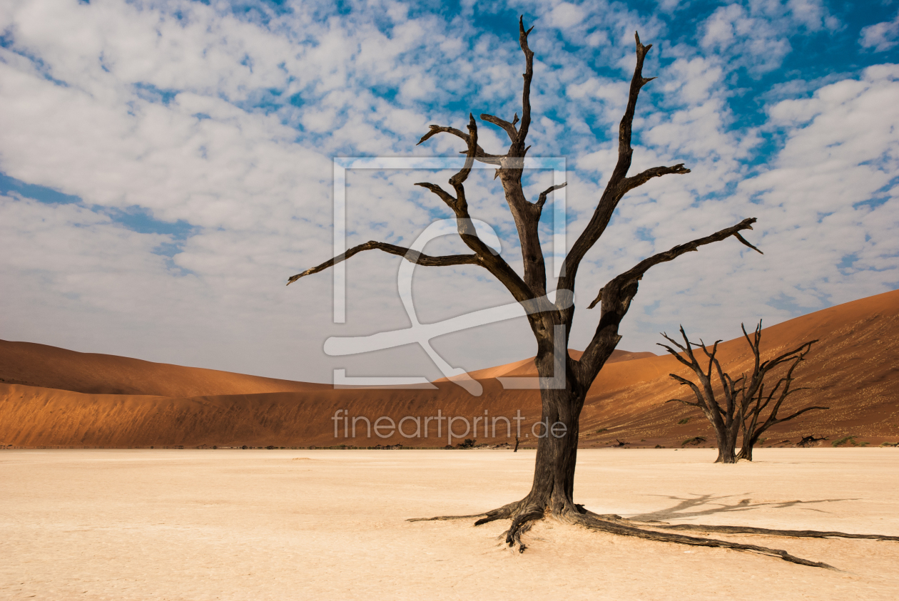 Bild-Nr.: 10762325 Dead Vlei erstellt von Frank Walter