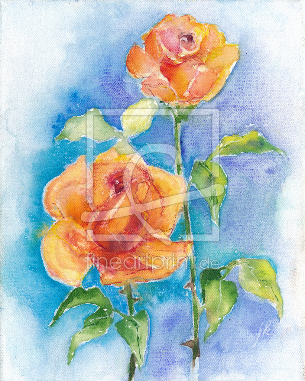 Bild-Nr.: 10763995 zwei Rosen erstellt von JitkaKrause