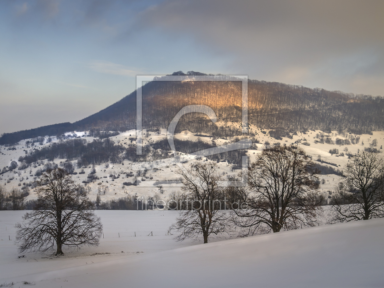 Bild-Nr.: 10768825 Winterlandschaft mit Bäumen erstellt von Wolfgang Zwanzger