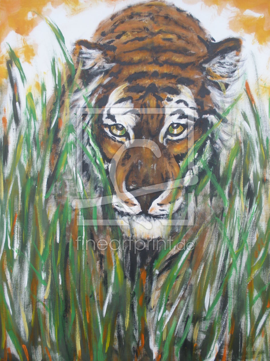 Bild-Nr.: 10774217 Tiger im hohem Gras erstellt von Miastoiberwegele