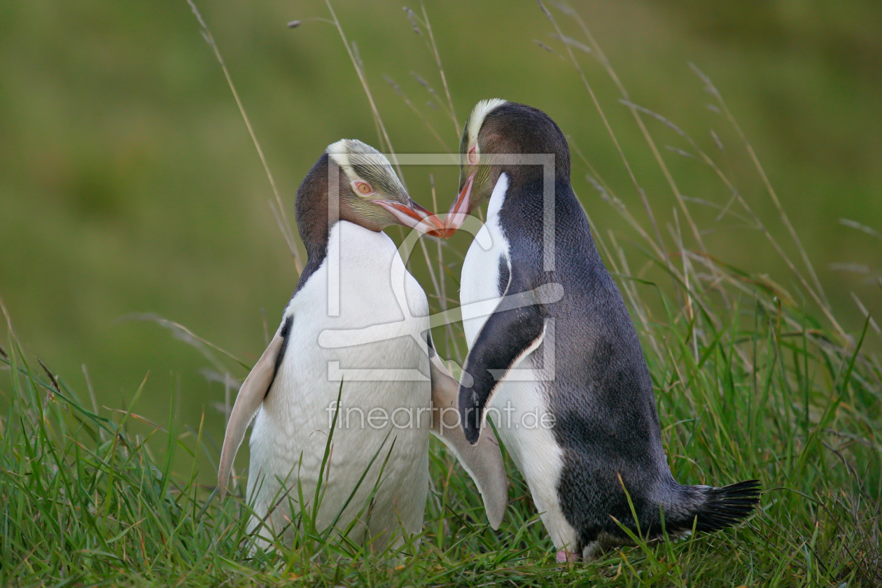 Bild-Nr.: 10774731 In Love... erstellt von Weltenbummel