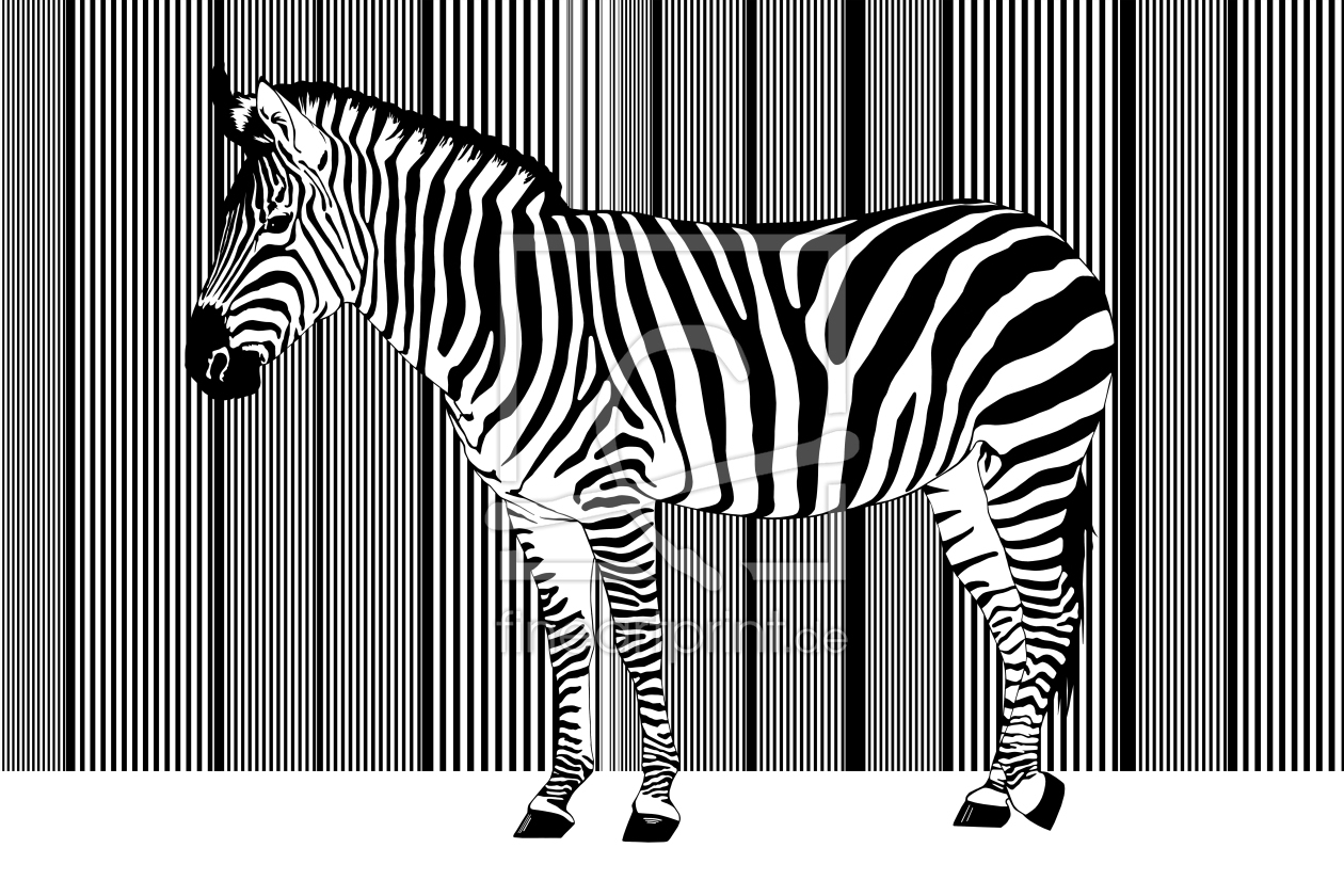 Bild-Nr.: 10775275 Zebra Barcode einzelnd erstellt von Mausopardia