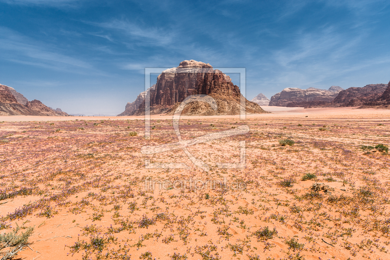 Bild-Nr.: 10775631 Wadi Rum - Jordanien erstellt von gemi-Photo