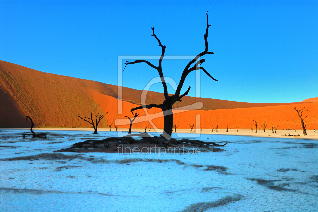 Bild-Nr.: 10780035 Dead Vlei erstellt von Gerhard726