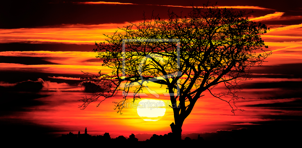Bild-Nr.: 10780509 african sunset erstellt von Jake-Playmo