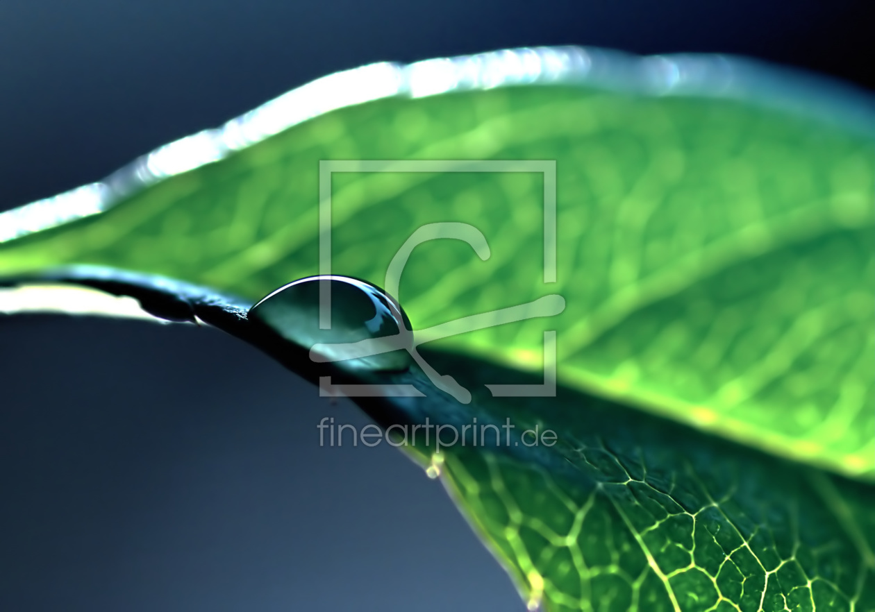 Bild-Nr.: 10781157 Leaf erstellt von youhaveadream